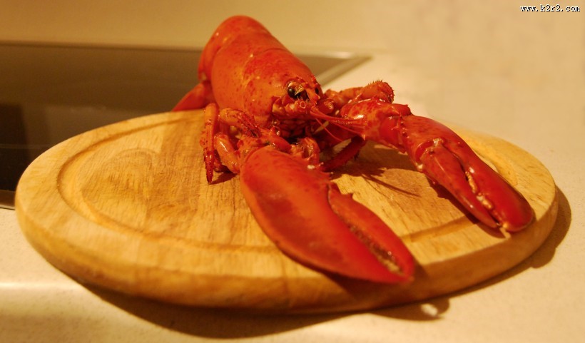 美味好吃大龙虾图片大全