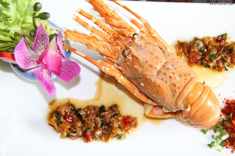 美味好吃大龙虾图片大全