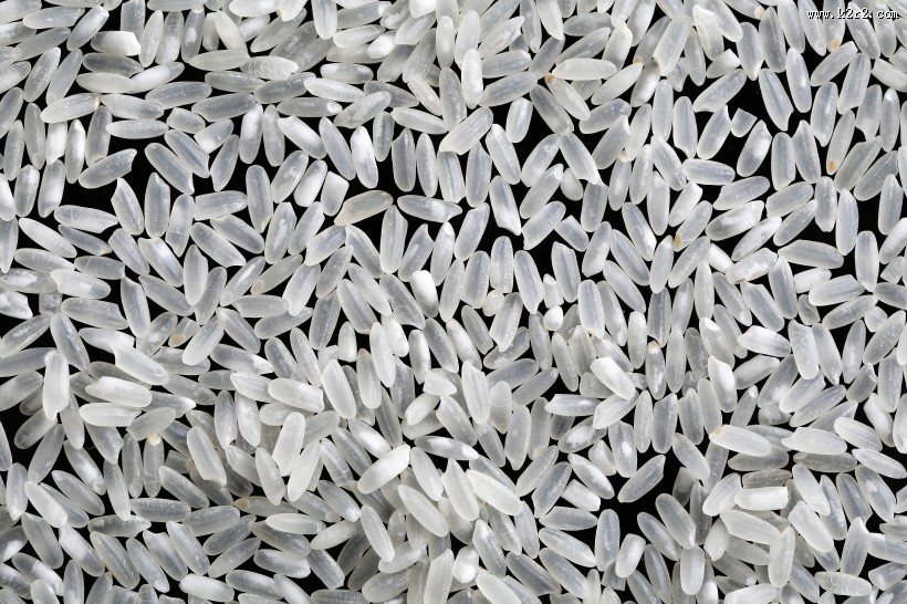 白色大米图片大全