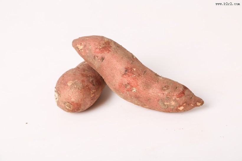 新鲜红薯图片