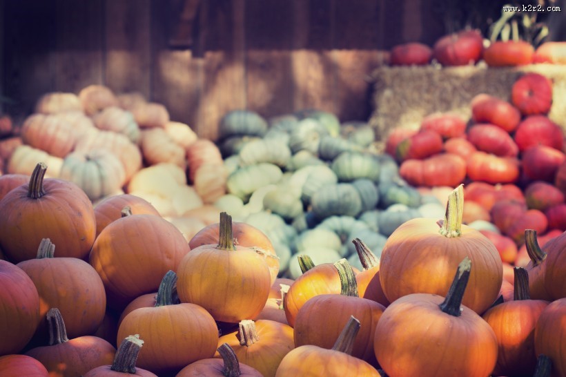 又大又圆的南瓜图片大全