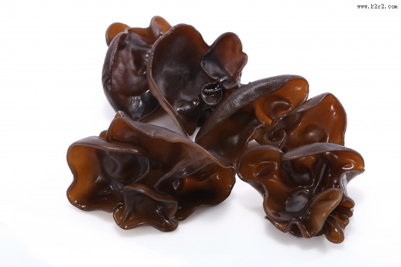 新鲜有机黑色木耳图片