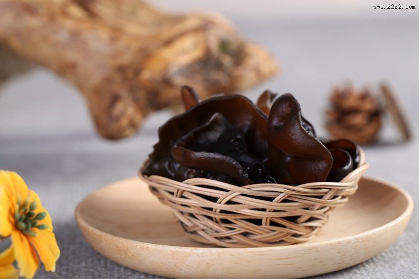 新鲜有机黑色木耳图片