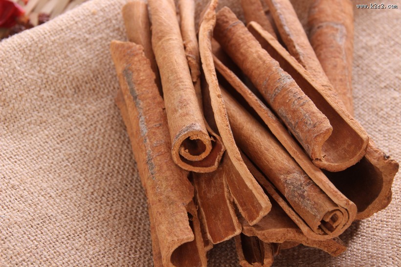 炖肉必不可少的调料桂皮图片