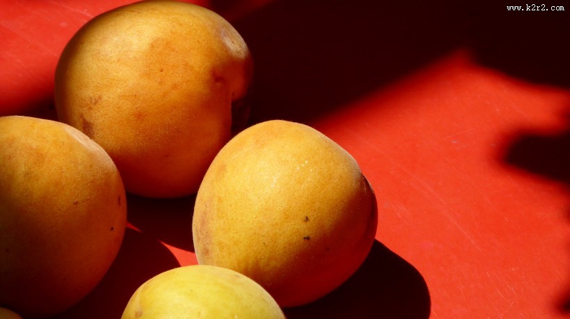 黄澄澄的杏子图片