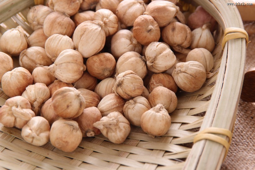 味道清香的香菜籽图片大全