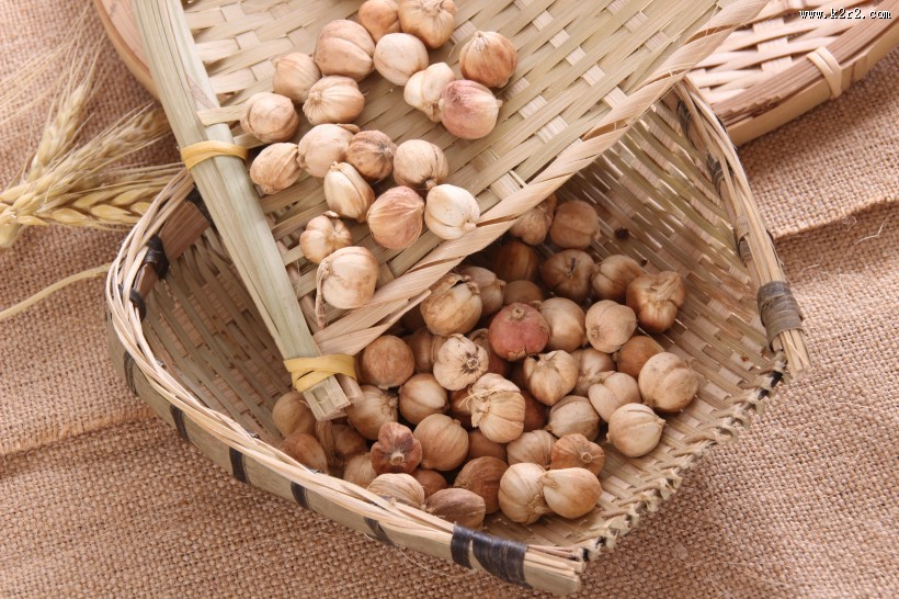 味道清香的香菜籽图片大全