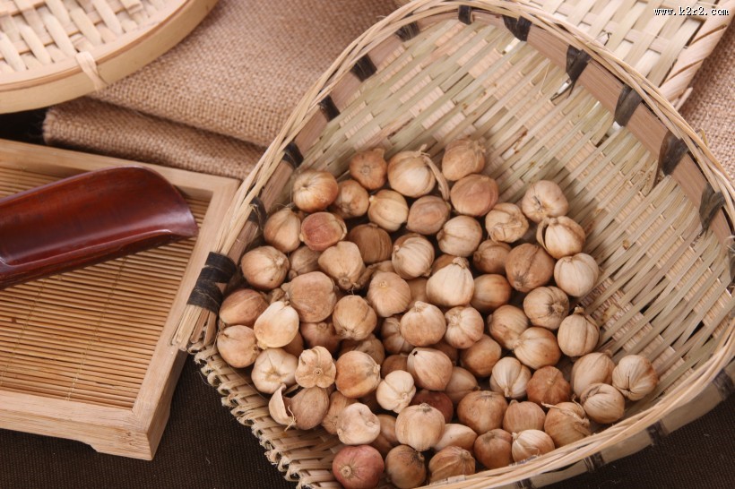 味道清香的香菜籽图片大全