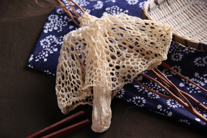 营养真菌竹荪图片