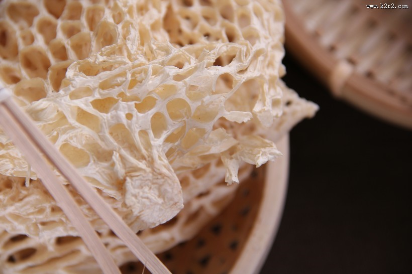 营养真菌竹荪图片