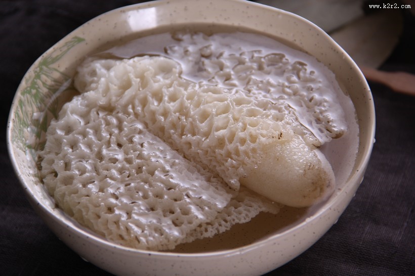 营养真菌竹荪图片