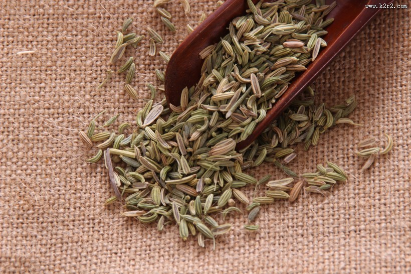 味道特殊的调料茴香图片大全