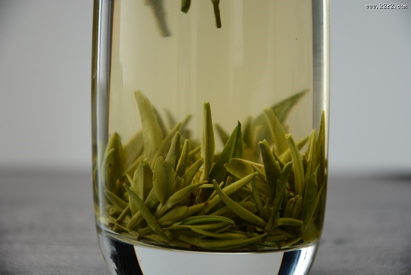 深绿色竹叶青茶叶图片