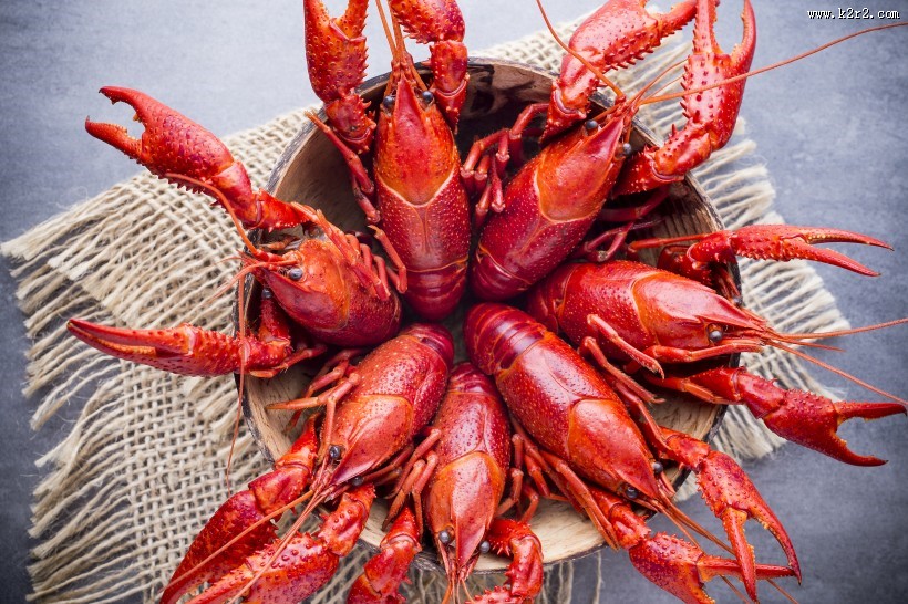 够味的小龙虾图片