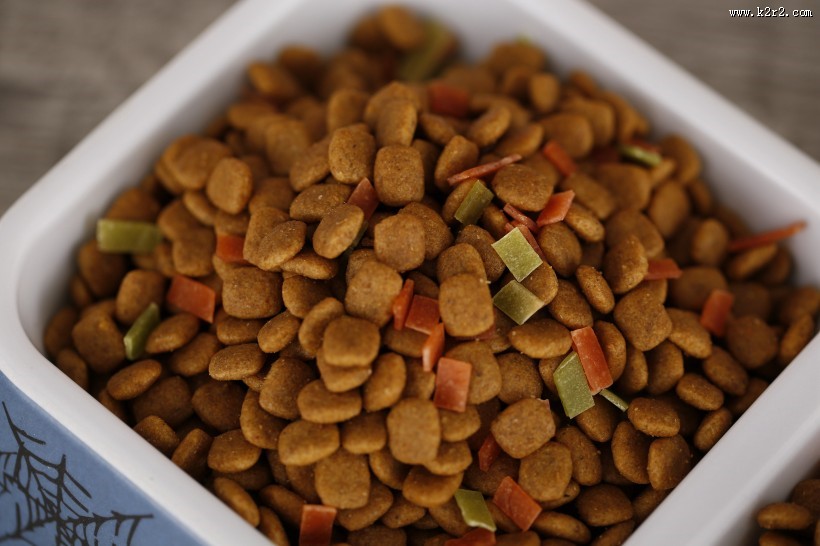 狗狗的美味食物狗粮图片大全