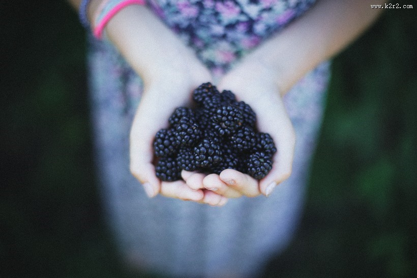 营养丰富的黑莓水果图片