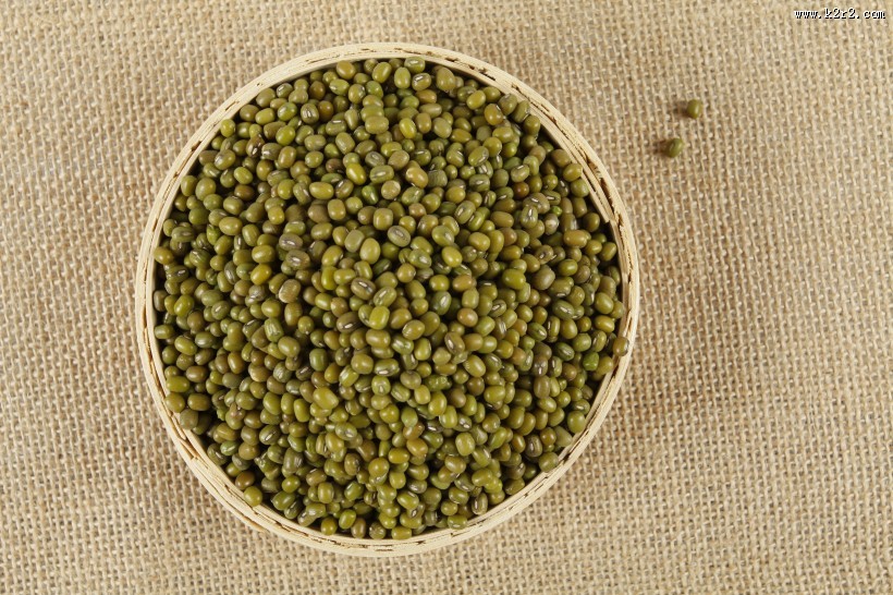 解毒去暑的绿豆图片