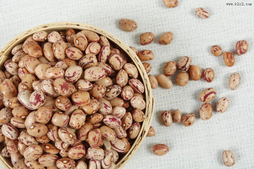 漂亮好吃的奶花豆图片大全