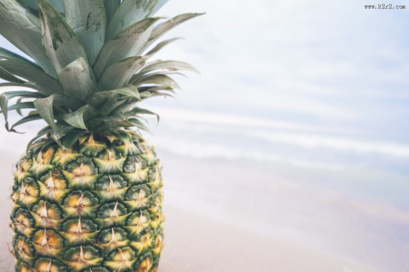 形态不一的菠萝图片