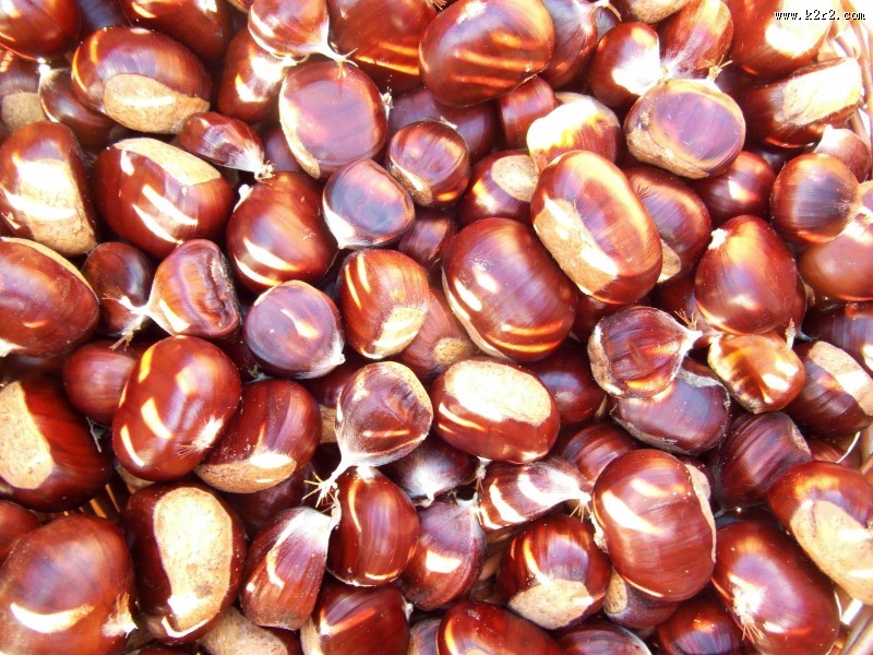 美味可口的板栗图片大全
