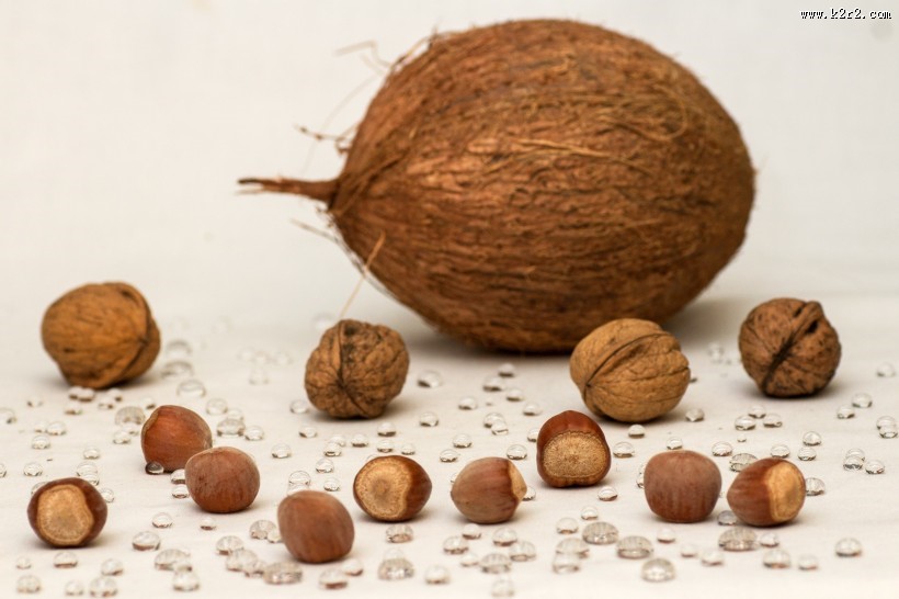 高蛋白的椰子图片