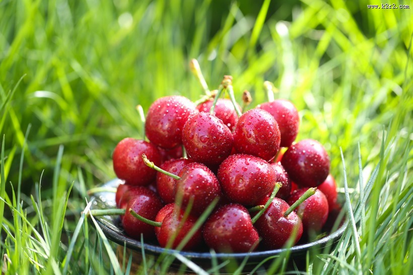 红色诱人樱桃图片