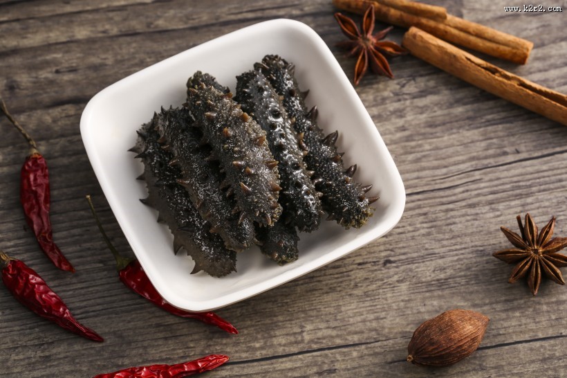营养劲道的海参图片大全