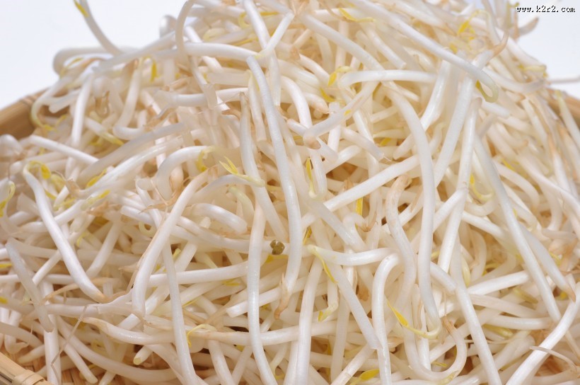 鲜嫩的豆芽图片