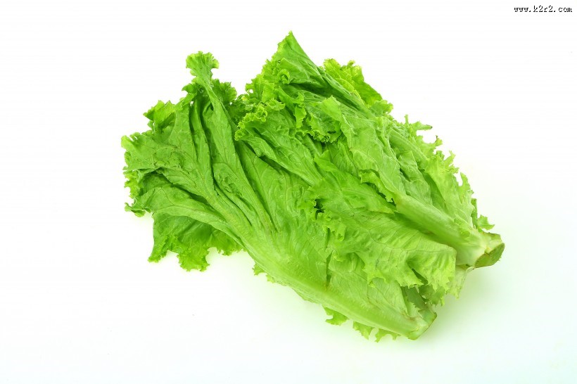 翠绿鲜嫩的生菜图片大全