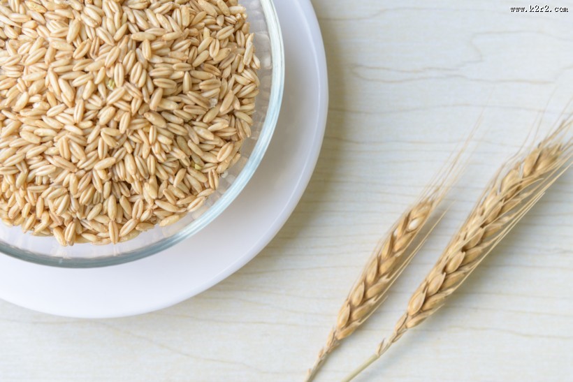 五谷杂粮燕麦图片大全