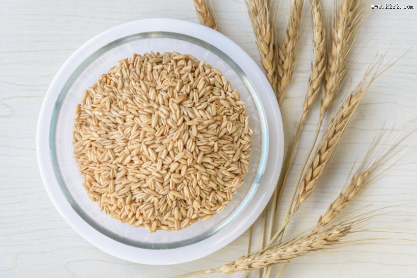 五谷杂粮燕麦图片大全