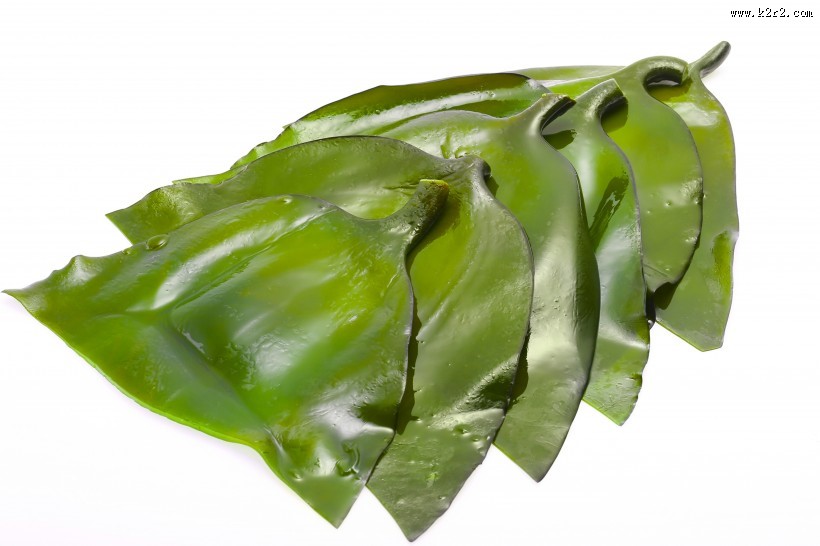 绿色鲜嫩的海带图片