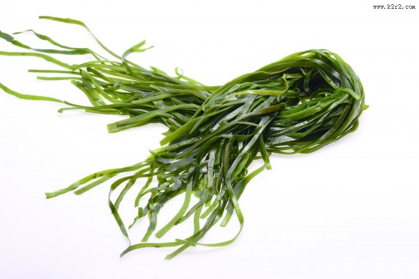 绿色鲜嫩的海带图片