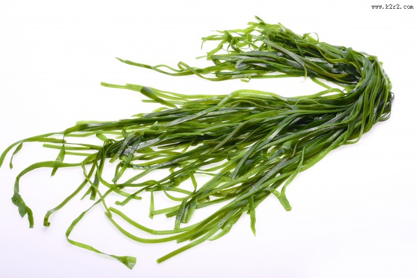 绿色鲜嫩的海带图片