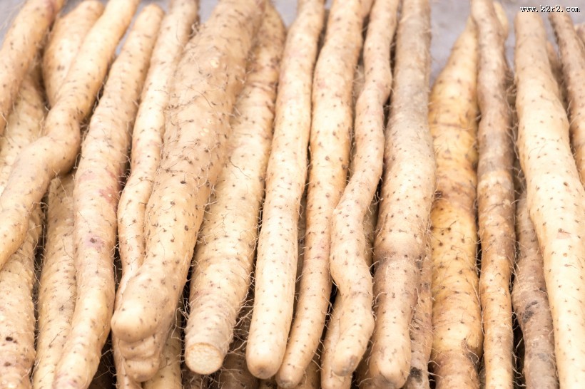 健康营养山药图片