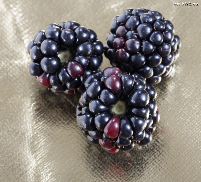 酸甜可口的桑葚图片