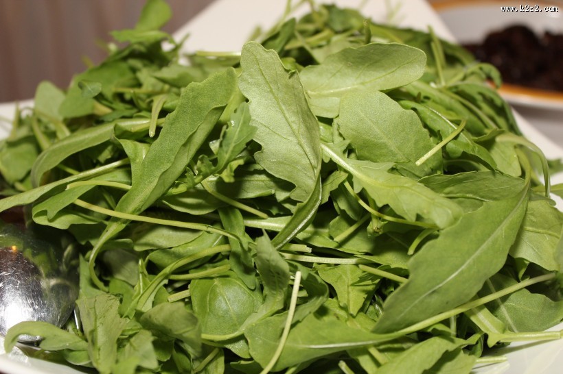 新鲜的茶叶嫩叶图片