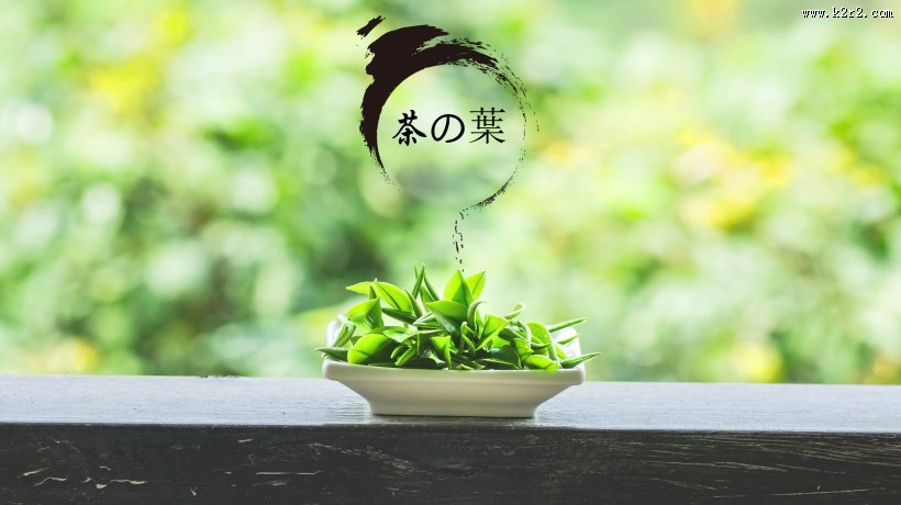 新鲜的茶叶嫩叶图片