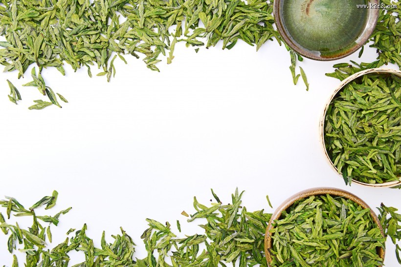 新鲜的茶叶嫩叶图片