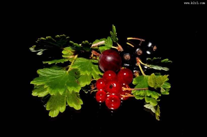 火红醋栗浆果图片