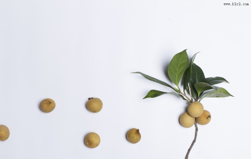 甘甜美味桂圆图片