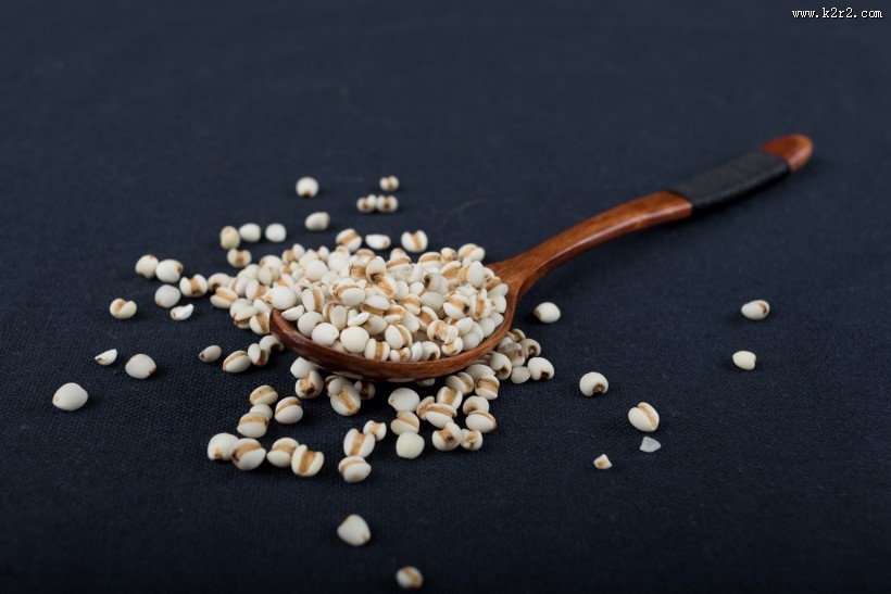 颗粒饱满的薏米图片