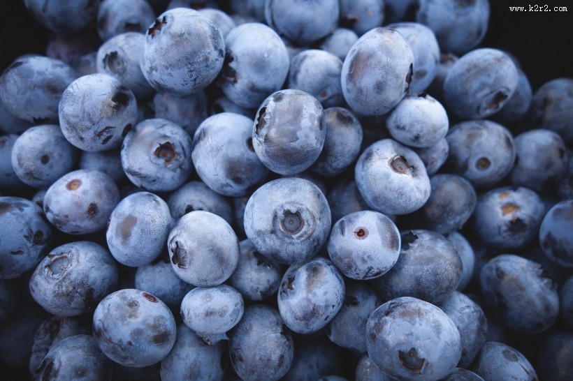 精选蓝莓图片