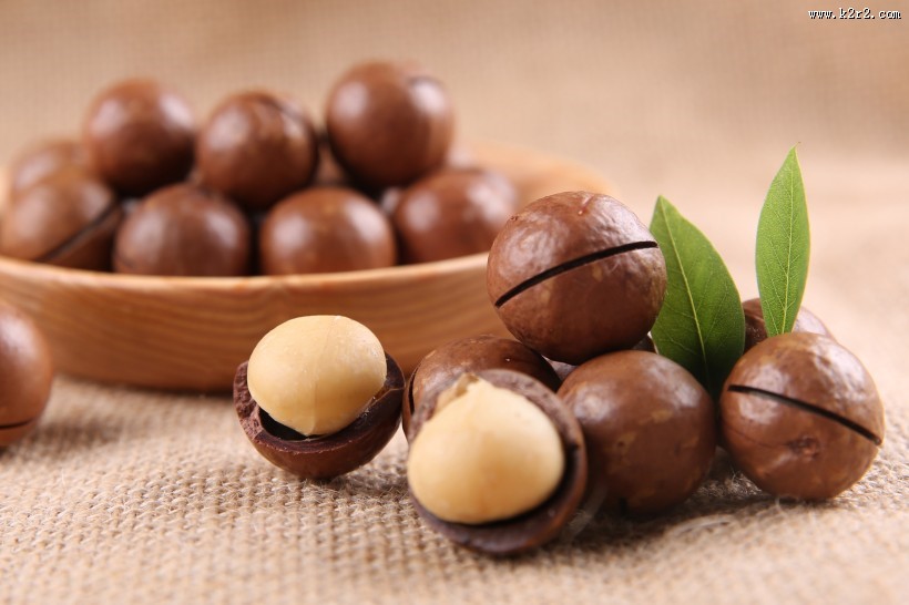 好吃营养的夏威夷果图片