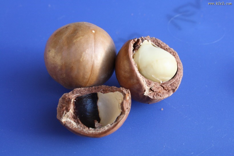 好吃营养的夏威夷果图片