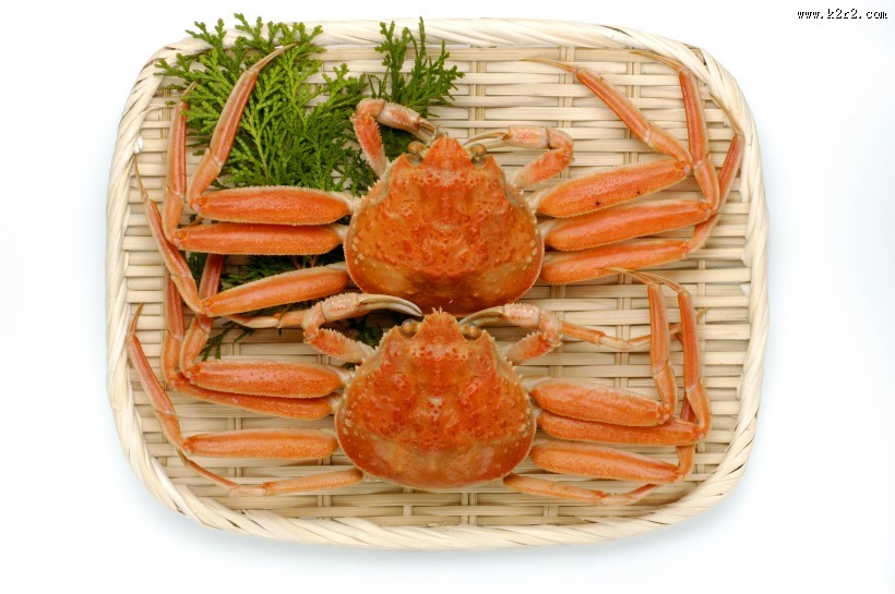 好吃的螃蟹图片