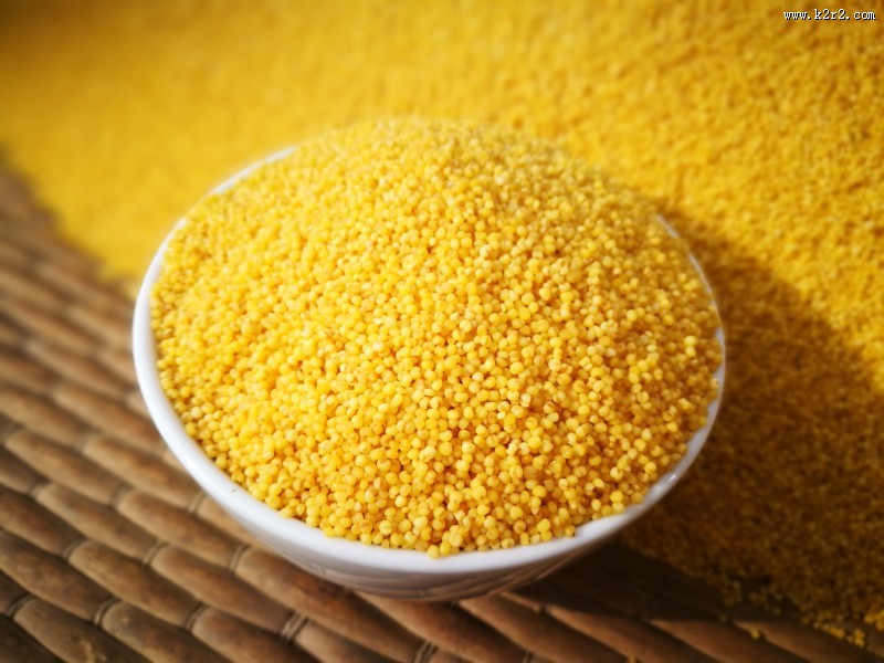 金色的农家小米图片