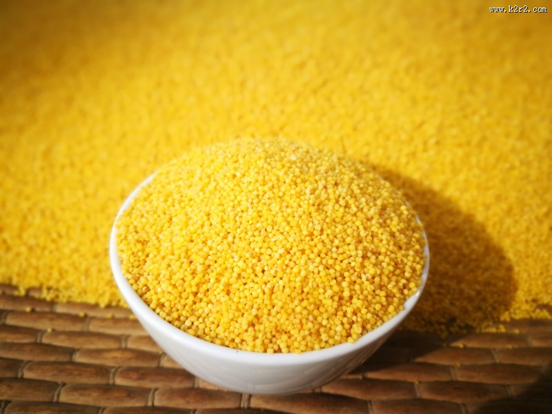 金色的农家小米图片