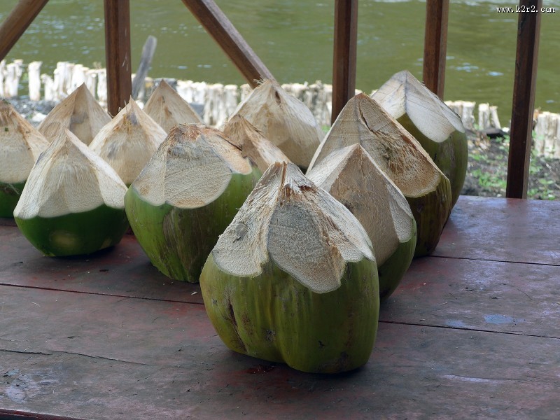 棕色的椰子图片