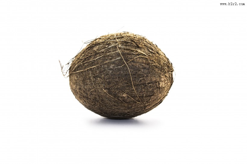 棕色的椰子图片
